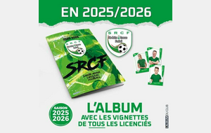 ALBUM PANINI